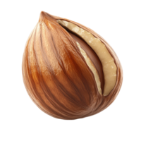 Fresh Hazelnut Display png