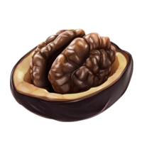 Close-Up of Walnut with Natural Texture png