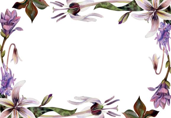Spring forest flowers, white erythronium trout lily, mauve magnolia camelia bud, purple corydalis vetch orchid hand drawn in watercolor. Border frame illustration for wedding, florist shop, stationery
