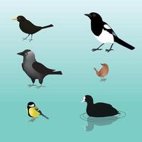 Bird collection of six birds vector