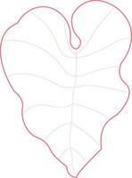Nature's Artwork A Simple Leaf Sketch vector