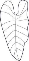 Nature's Pattern The Elegance of Monstera vector