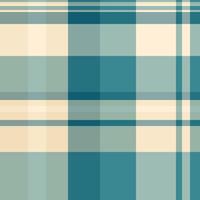 Hispanic plaid pattern, stroke fabric background seamless. Volume tartan textile check texture in pastel and cyan colors. vector