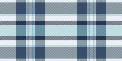 Cowboy pattern textile tartan, idyllic check texture plaid. Rich background seamless fabric in white and blue colors. vector