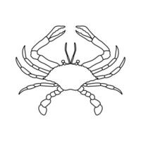 Crab in outline sketch style on white background illustration vector
