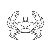 Crab in outline sketch style on white background, illustration vector