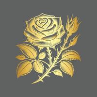 Golden rose illustration on grey background vector