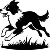 Border Collie Running Energetically Mid-Run for Action Design vector