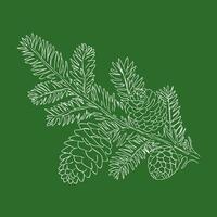 Christmas tree branch with pine cones vector