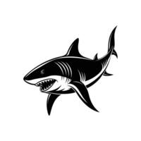 Shark silhouette Style with white background design vector