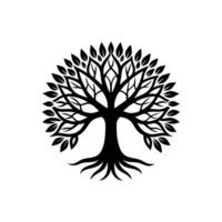 Banyan tree silhouette Style with white background template vector