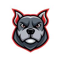 Aggressive Pitbull Mascot Design with a Bold and Intense Expression vector