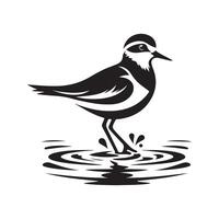 Download Plover Silhouette Vectors for High-Quality Bird Art