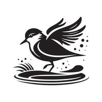 Plover Silhouettes Perfect for Ornithology Study Materials vector