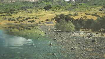 Tranquil lakeside view with lush greenery and rocky shore on a sunny day video