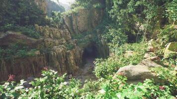 Exploring a lush green valley with rocky cliffs and dense vegetation in India video