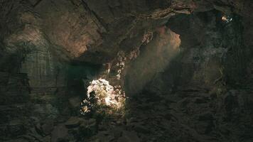 Exploring a serene cavern with natural light filtering through at dusk video