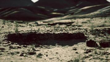 Vast desert landscape in Mongolia showcasing unique rock formations at sunset video