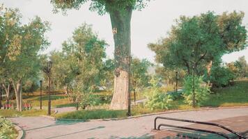 A serene park pathway surrounded by lush greenery on a sunny day video