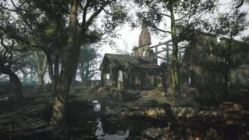 Abandoned stone structure nestled among dense trees in a misty forest video