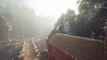 Exploring the ancient temple ruins hidden in the lush Vietnamese jungle video