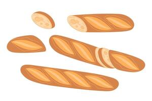 Traditional French Baguette, set of Sliced Baguette in Different Ways vector