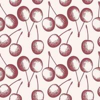 Seamless pattern with engraved cherries. Hand drawn repeating background with sweet berry of cherry-tree. Food, red round stone fruits. For textile, wrapping, label, card, print, sign, paper vector