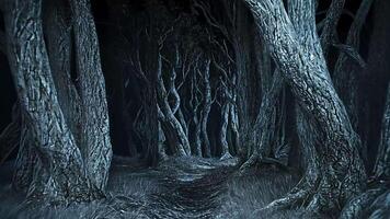 A dark, mysterious path through a forest of twisted trees. video
