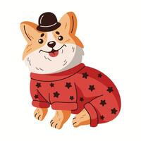 Happy corgi in jumpsuit and bowler hat flat color character. Small dog in funny clothing with star pattern illustration on white background vector