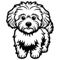 bichon frise dog black silhouette Design, Icon with white background. Dog silhouette vector