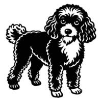 poodle black silhouette Design, Icon with white background. Dog silhouette vector