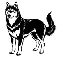 siberian husky black silhouette Design, Icon with white background. vector