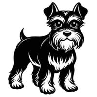 miniature schnauzer black silhouette Design, Icon with white background. Dog silhouette vector