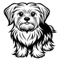 maltese black silhouette Design, Icon with white background. Dog silhouette vector