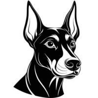 doberman pinscher dog head black silhouette Design, Icon with white background. vector