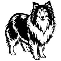 shetland sheep black silhouette Design, Icon with white background. Dog silhouette vector