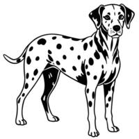 dalmatian black silhouette Design, Icon with white background. Dog silhouette vector
