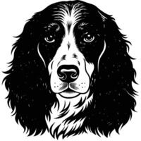 english springer spaniel head black silhouette Design, Icon with white background. Dog head silhouette vector
