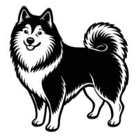 samoyed black silhouette Design, Icon with white background. vector