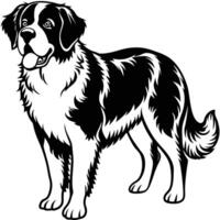 st bernard black silhouette Design, Icon with white background. vector