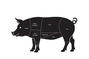 Diagram of American Pork Cuts with Labels vector