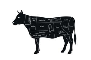 Diagram of Argentine Beef Cuts on Cattle Silhouette vector
