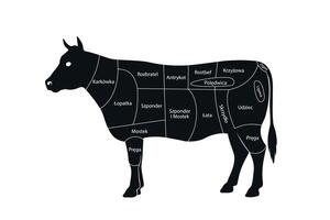 Diagram of Polish Beef Cuts on Cattle Silhouette vector