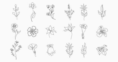Floral botanical design element vector