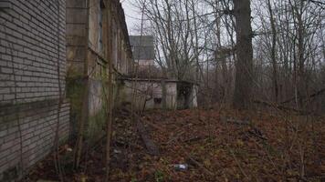 An eerie and haunting glimpse of an abandoned building that is surrounded by dense and overgrown foliage video