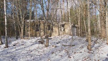 A rustic, abandoned cabin, surrounded by towering trees and soft snow, evokes a profound sense of mystery and nature video