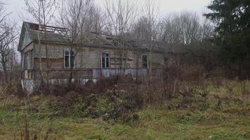 An unsettling view of a dilapidated, abandoned house overtaken by wild plants, showing natures relentless reclaiming video