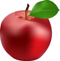 illustration of a single apple design on a white background vector