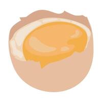 illustration of a raw chicken egg broken in half with the contents still visible vector