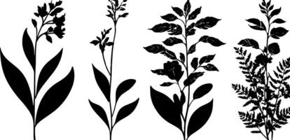 Black and white silhouette of plants vector